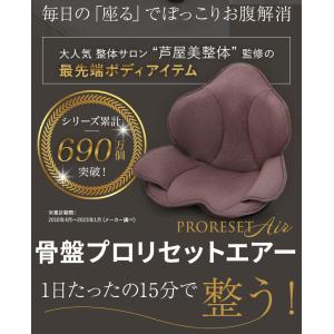 芦屋美整体 骨盤プロリセットエアー マッサージ...の詳細画像1