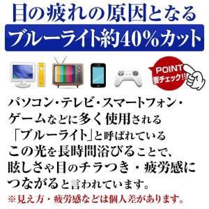 22,000円が54%OFF 眼の健康を優先さ...の詳細画像3