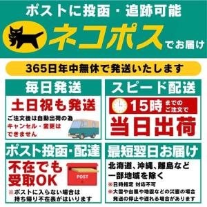 【在庫限り】ひんやり冷やす 真夏でも熟睡できる...の詳細画像4