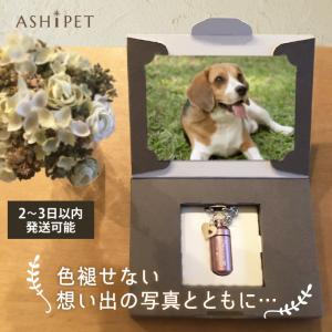 チャーム付 ガラス管 遺骨キーホルダー ペット...の詳細画像2