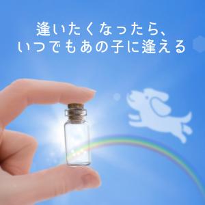 チャーム付 ガラス管 遺骨キーホルダー ペット...の詳細画像3