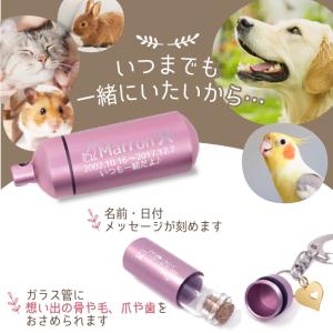 チャーム付 ガラス管 遺骨キーホルダー ペット...の詳細画像4