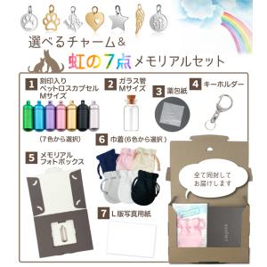 チャーム付 ガラス管 遺骨キーホルダー ペット...の詳細画像5