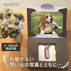 安心の手元供養8点セット付 遺骨キーホルダー ...の詳細画像1