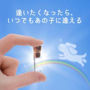 チャーム付 ガラス管 遺骨ペンダント ペット ...の詳細画像3