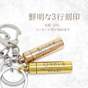 遺骨キーホルダー ペット 名入れ 3行刻印 ス...の詳細画像2