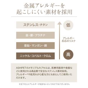 遺骨キーホルダー ペット 名入れ 3行刻印 ス...の詳細画像3
