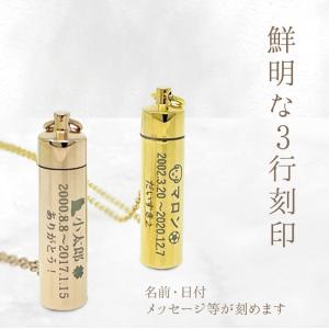 金属アレルギー対応 遺骨ペンダント ペット 名...の詳細画像2