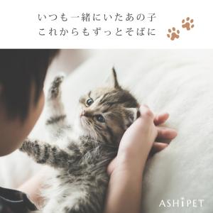 金属アレルギー 対応 遺骨ペンダント ペット ...の詳細画像4