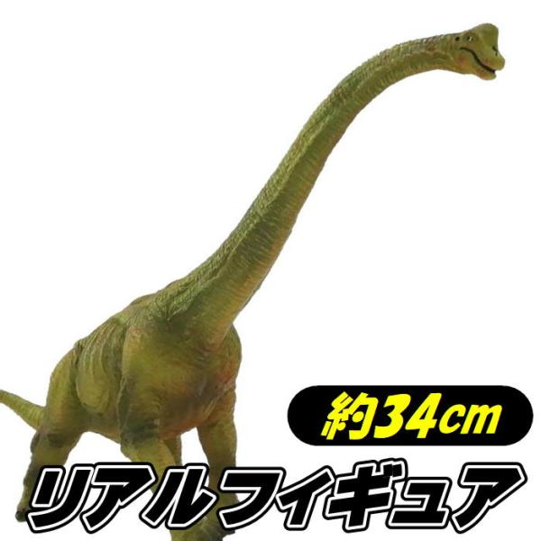 ブラキオサウルス フィギュア 34cm リアルモデル 恐竜 フィギア PVC 人形 草食恐竜 おもち...