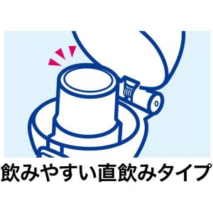 MARVELグリヒルCマーベル直飲みプラワンタ...の詳細画像5