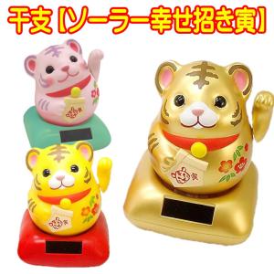 【断捨離】のほほん族 × HELLO KITTY 電池がいらない タカラトミー 📷TAKARA TOMY | Sanrio FUNSHOT 🎀Hello Kitty - Sold out, PM for