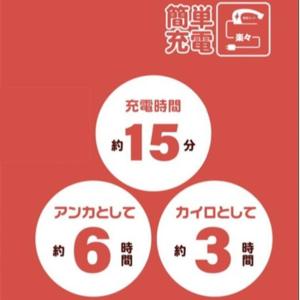 エコロジー湯たんぽ エコタンポ 蓄熱式 湯たん...の詳細画像4