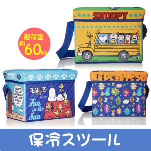 LOTTE 保温 保冷 マルチリュック バッグ 30L 40×25cm ロッテ お菓子
