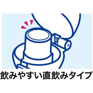 Disney 100 プラ水筒 直飲み プラワ...の詳細画像5