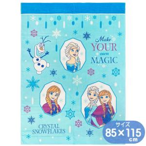 アナと雪の女王 プリンシプル お昼寝ケット ディズニー プリンセス キャラクター タオルケット 85×115cm 林 O4601 KO460100 マルチタオル ブルー