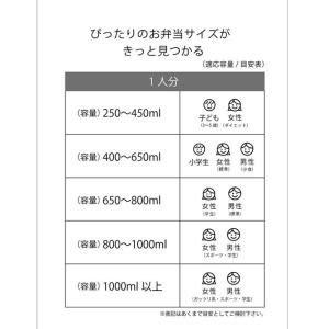 ドラゴンボール DAIMA 弁当箱 RBF3A...の詳細画像5