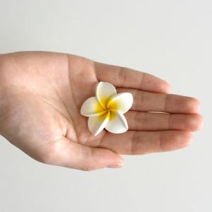メール便対応 小さなプルメリア アジアン 造花...の詳細画像1