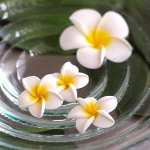 メール便対応 小さなプルメリア アジアン 造花...の詳細画像2