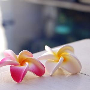 メール便対応 小さなプルメリア アジアン 造花...の詳細画像5