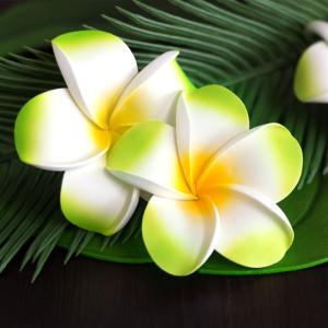 メール便対応 プルメリア造花 スタンダードタイ...の詳細画像3