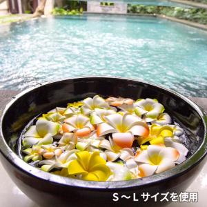 メール便対応 プルメリア造花 スタンダードタイ...の詳細画像5