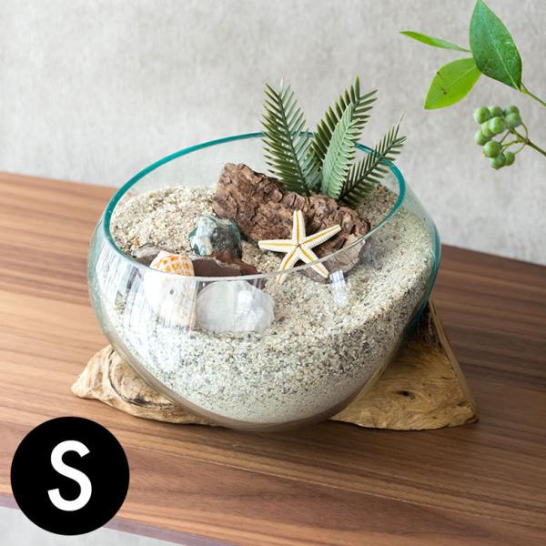 ガラスと流木のプランターオブジェ Sサイズ 12160