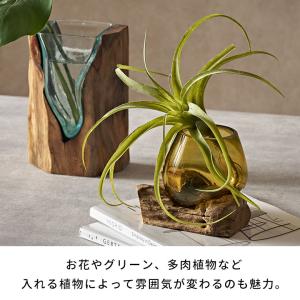プランター オブジェ 木製 ウッド ガラス デ...の詳細画像4