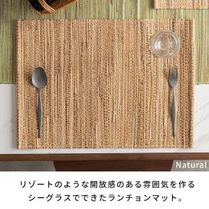 ランチョン マット シーグラス プレイス 約 ...の詳細画像2