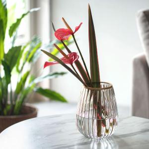 フラワーベース クリア ガラス 花瓶 Sサイズ...の詳細画像4