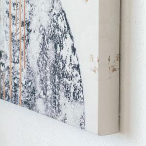 アートパネル BALANCE バランス キャン...の詳細画像5