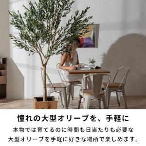 フェイクグリーン オリーブ 7号鉢 観葉植物 ...の詳細画像1