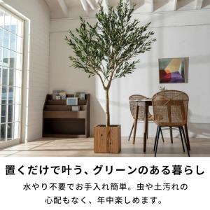 フェイクグリーン オリーブ 7号鉢 観葉植物 ...の詳細画像4