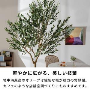 フェイクグリーン オリーブ 7号鉢 観葉植物 ...の詳細画像5