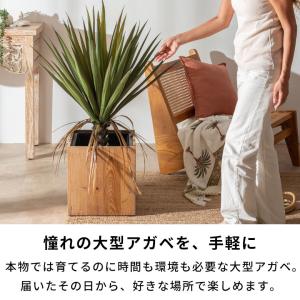 フェイクグリーン アガベ 7号鉢 観葉植物 水...の詳細画像1