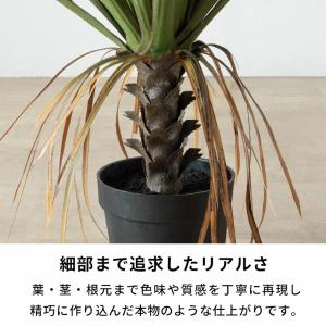 フェイクグリーン アガベ 7号鉢 観葉植物 水...の詳細画像3