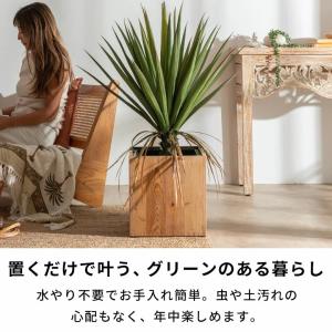 フェイクグリーン アガベ 7号鉢 観葉植物 水...の詳細画像4