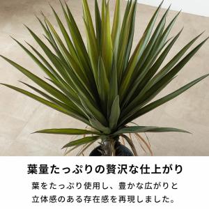 フェイクグリーン アガベ 7号鉢 観葉植物 水...の詳細画像5