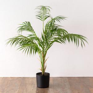 ヤシの木「フェニックスパームツリー」 人工観葉植物全長170cm : 上田