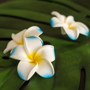 メール便対応 プルメリア アジアン 造花 スタ...の詳細画像3