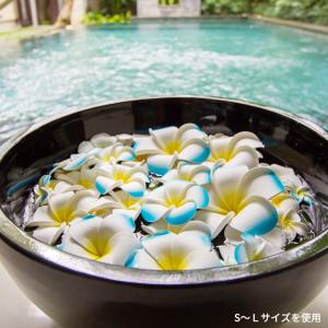 メール便対応 プルメリア アジアン 造花 スタ...の詳細画像5