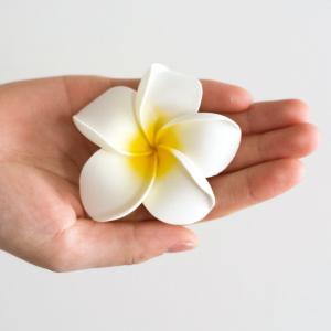 メール便対応 プルメリア アジアン 造花 スタ...の詳細画像1