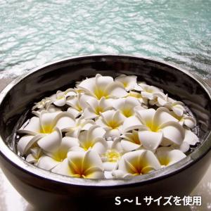 メール便対応 プルメリア アジアン 造花 スタ...の詳細画像5