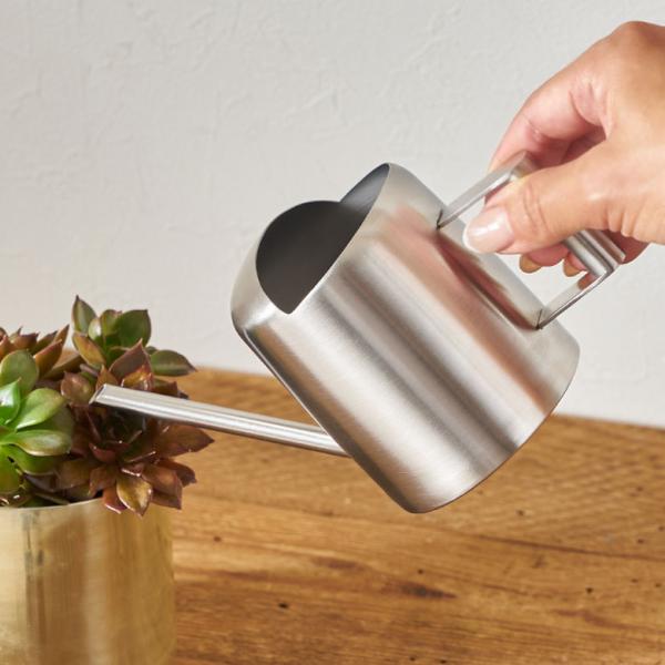 じょうろ ステンレス ジョウロ おしゃれ ミニ 細口 ジョーロ ガーデニング 銀 水差し 観葉植物 ...