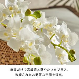 胡蝶蘭 造花 フェイクフラワー アーティフィシ...の詳細画像5