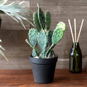 イタリア製　観葉植物造花　多肉植物　サボテン　大　VGnewtrend フェイクグリーン 観葉植物 人工観葉植物 造花 おしゃれ サボテンミニ