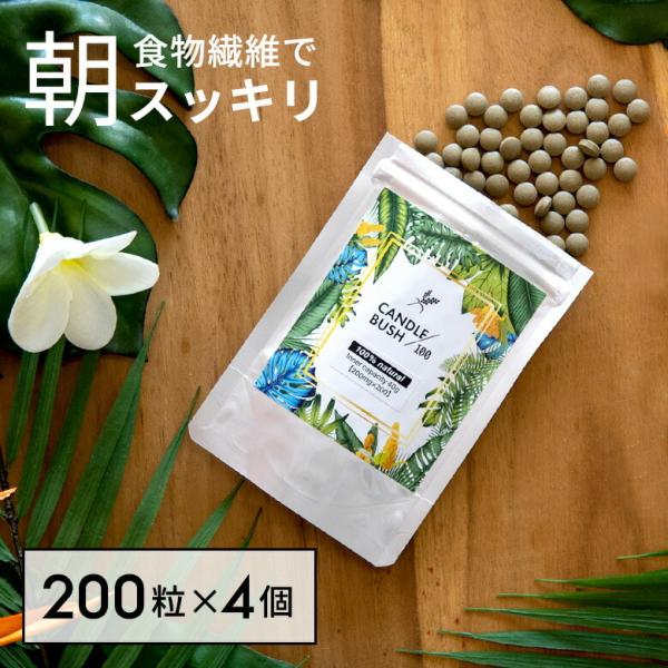 メール便対応 ※お得な4個セット※ぽっこりもスッキリ！キャンドルブッシュ 100 粒タイプ 200粒...
