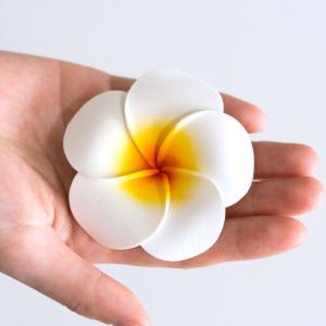 メール便対応 プルメリア造花 花びら丸タイプ ...の詳細画像1