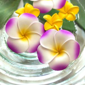 メール便対応 プルメリア造花 花びら丸タイプ ...の詳細画像2