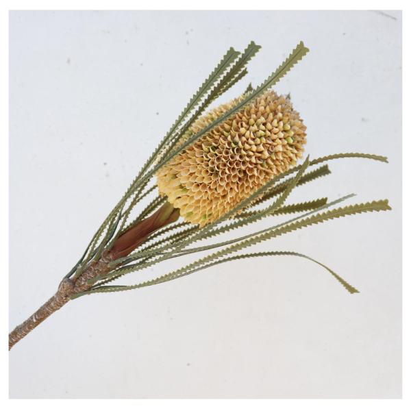 バンクシア　造花　フェイクグリーン　飾り付け　インテリア　ディスプレイ　１本　商品サイズ：長さ約70...